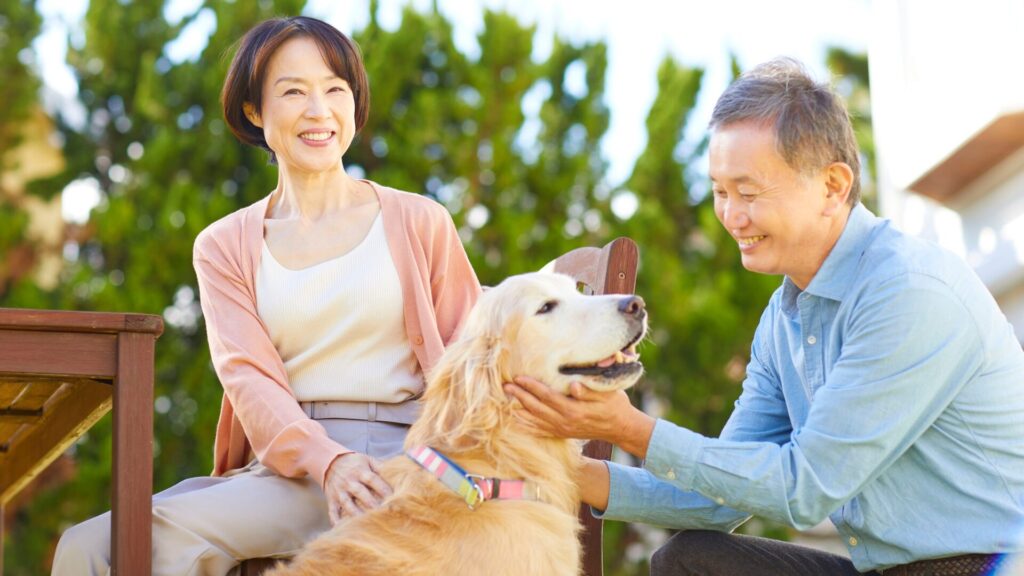 シニアと犬