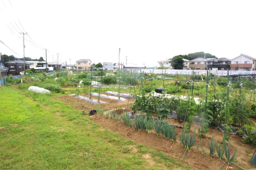 生谷市民農園