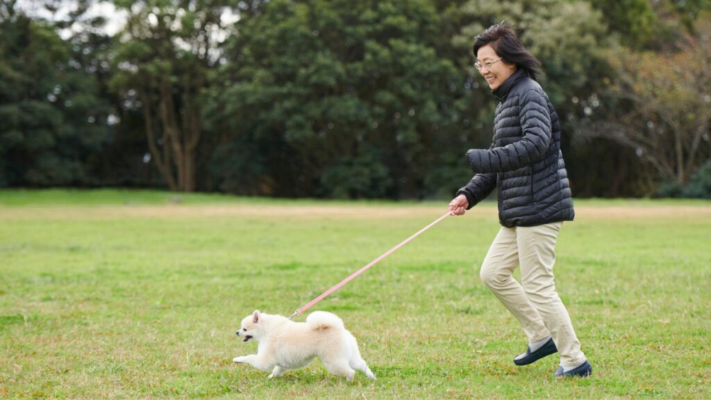 犬と散歩
