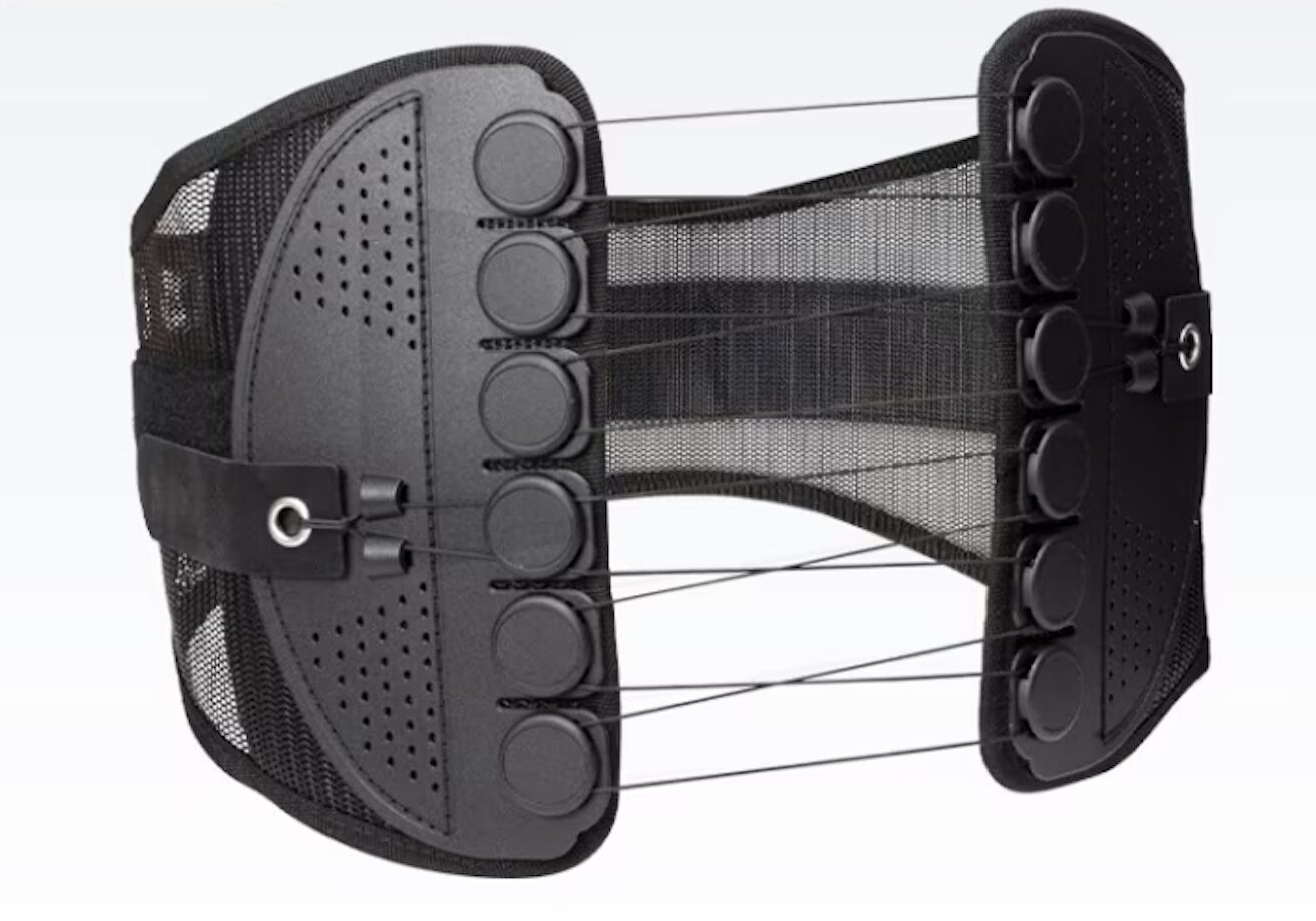 ガードナーベルト