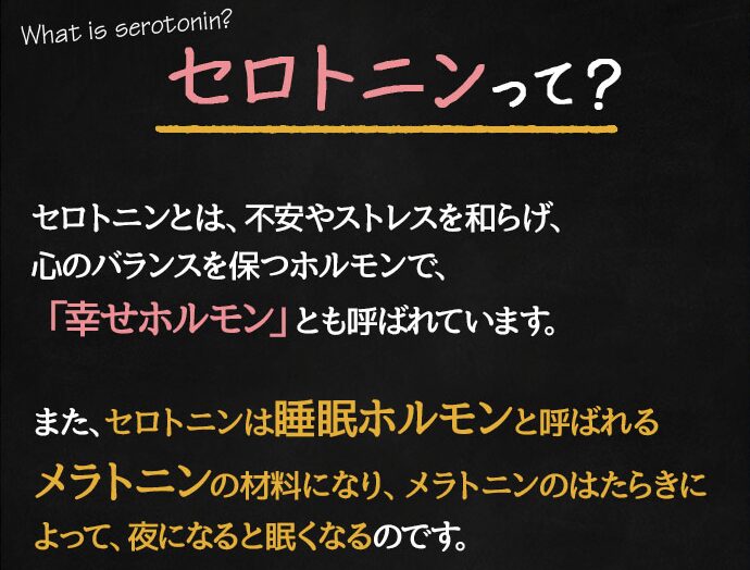 北の大地の夢しずく
セロトニンって？
幸せホルモンと呼ばれるメラトニンの材料となる