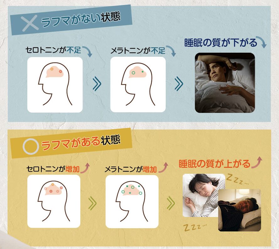北の大地の夢しずく セロトニン・メラトニン変換 左脳を納得させる「なぜ効くのか」の物理的根拠です。 基本メカニズム： セロトニン（幸せホルモン）→ メラトニン（睡眠促進ホルモン）の変換をサポート。 主成分「ラフマ」： セロトニンを増やすことで、深く質の良い眠りに必須のメラトニンを増やす唯一の植物由来成分。 サポート成分： ミルクペプチド、ネムノキ、GABA、クワンソウを独自比率で配合。
