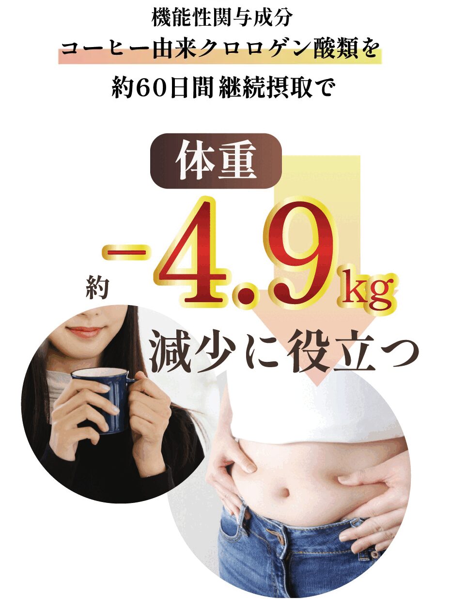 スリムストンコーヒー クロロゲン酸類 体重−４.９kg 現象に役立つ