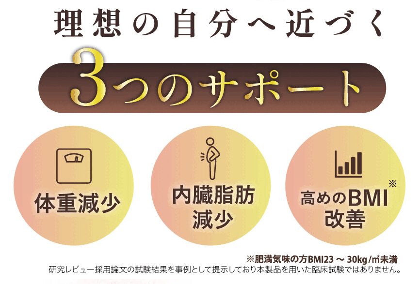 スリムストンコーヒー 3つのサポート 体重減少 内臓脂肪減少 高めのBMI改善