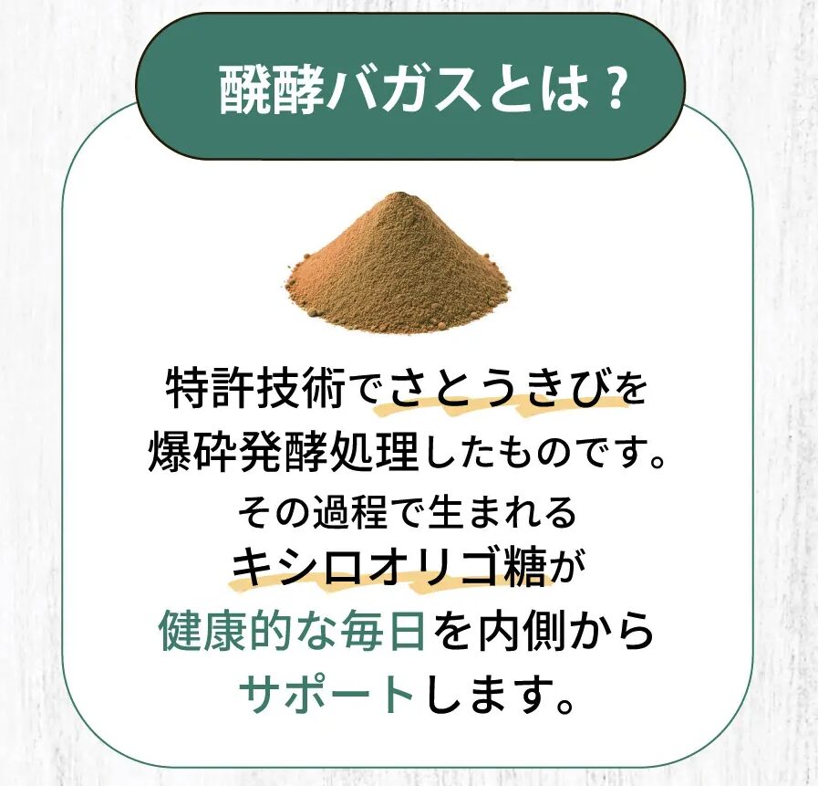 スリムストンコーヒー 発酵バガスとは?