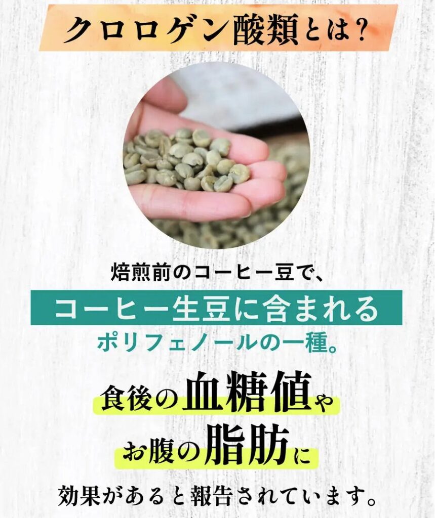 スリムストンコーヒー クロロゲン酸類とは 食後の血糖値やお腹の脂肪に効果があると報告されている
