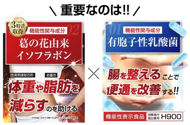 オイグルト 3つの特許取得 葛の花イソフラボン 体重や脂肪を減らす 有胞子性乳酸菌 腸を整える、便通改善する 機能性表示食品　H900