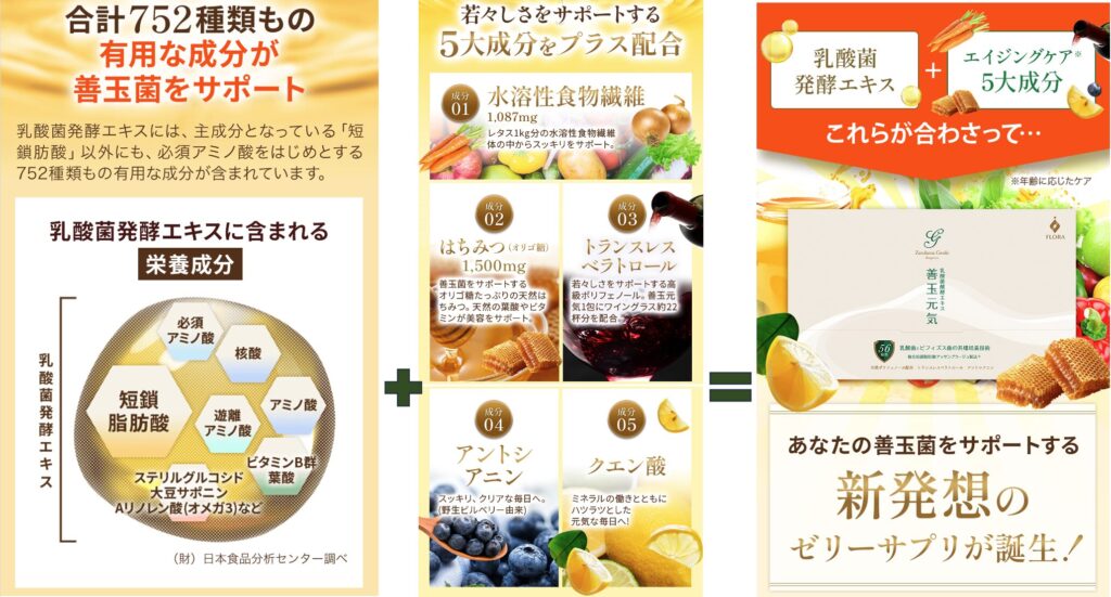 善玉元気
若々しさをサポート５大成分と
乳酸菌発酵エキス
新発想のサプリが誕生
