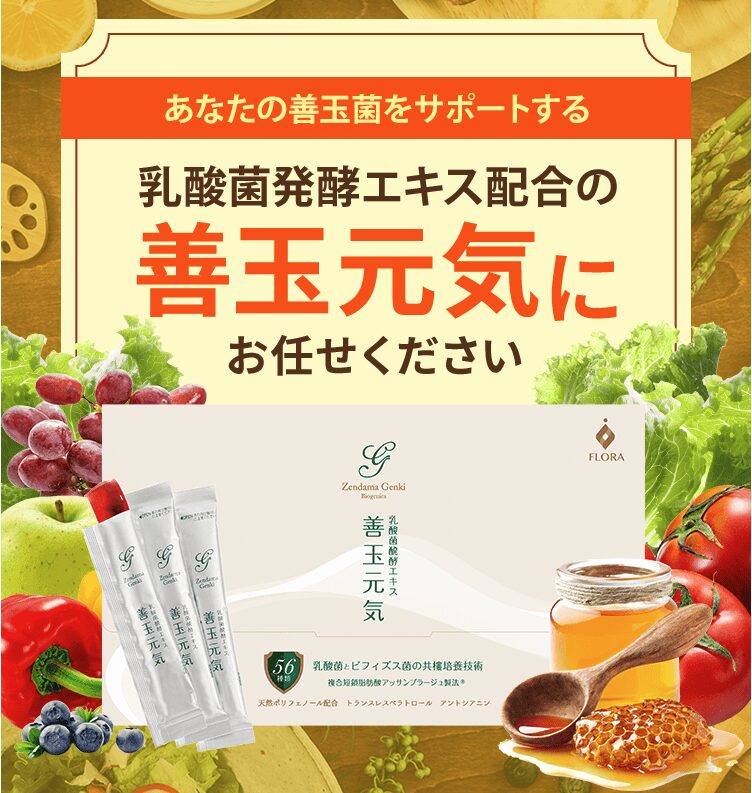 善玉元気 乳酸菌発酵エキス配合