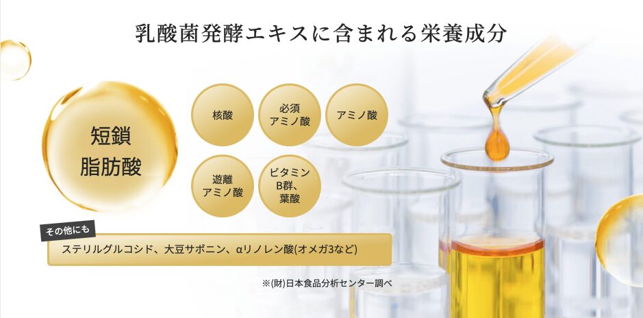 善玉元気
乳酸菌発酵エキスに含まれる栄養成分
短鎖脂肪酸脂