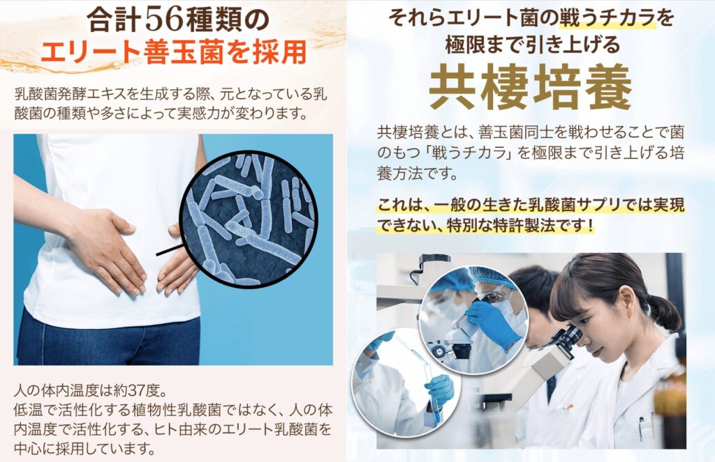 善玉元気
５６種類のエリート善玉菌
共棲培養