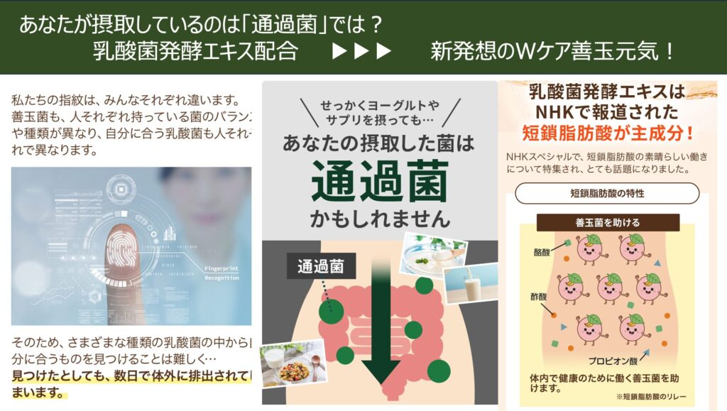 善玉元気
通過菌
乳酸菌発酵エキス
