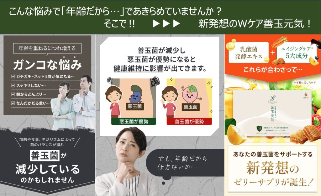 善玉元気
頑固な悩み
善玉菌が減少
悪玉菌が優勢
新発想のサプリが誕生