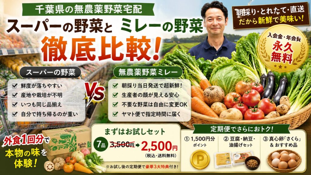 【千葉の無農薬野菜宅配】朝採り直送「ミレー」の実力は？年会費・コストを人気4社と徹底比較