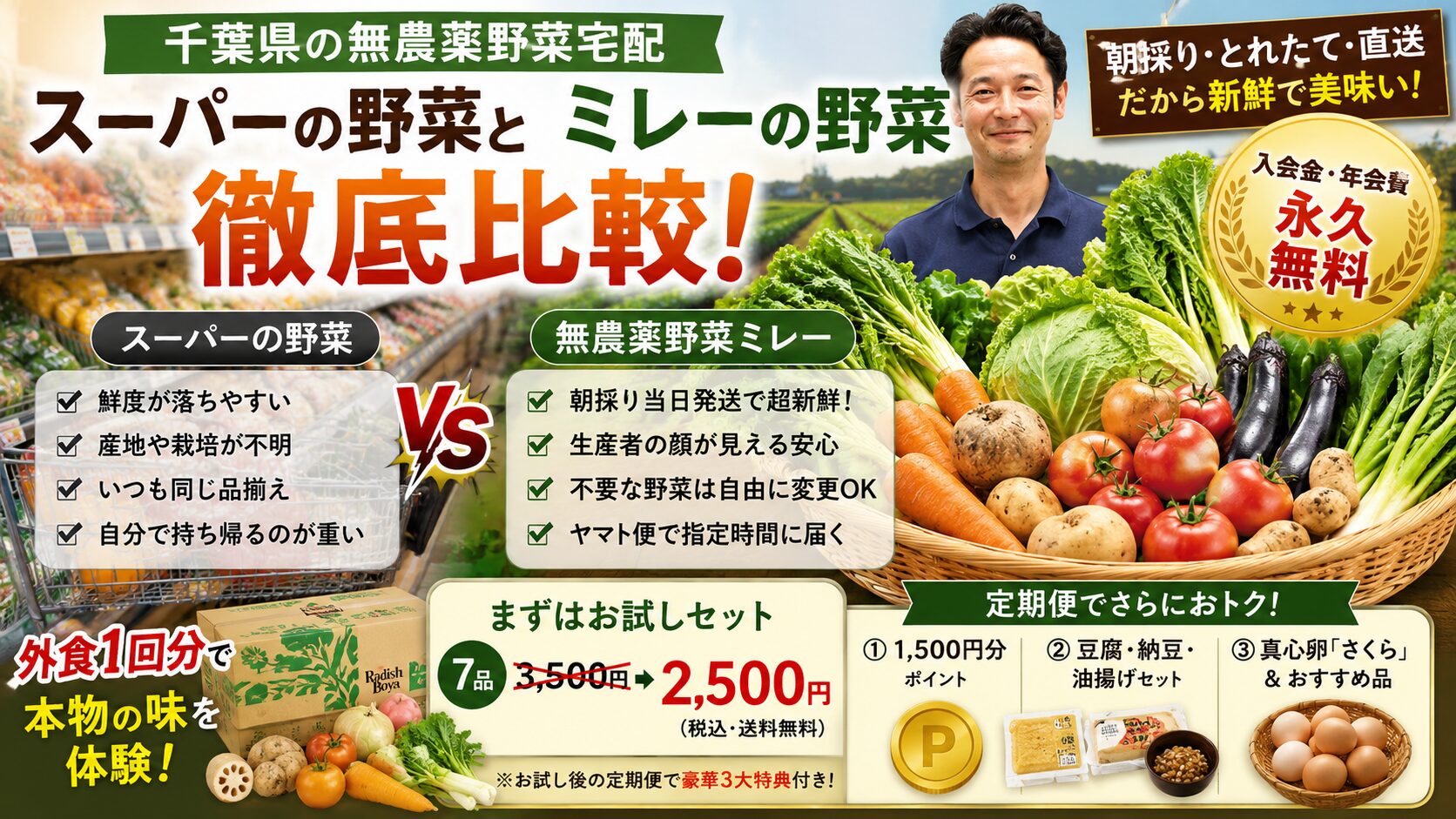 【千葉の無農薬野菜宅配】朝採り直送「ミレー」の実力は？年会費・コストを人気4社と徹底比較