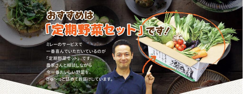 無農薬野菜ミレー
おすすめは定期野菜セット