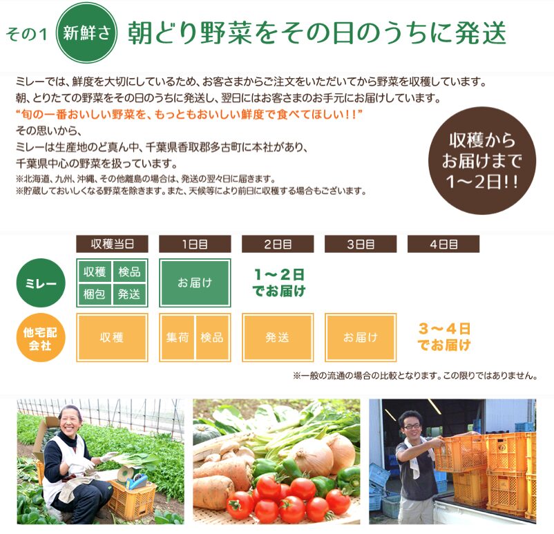 無農薬野菜ミレー
鮮度
