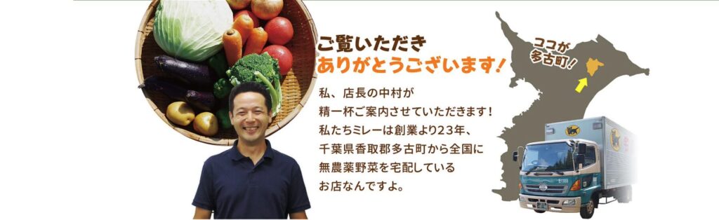 無農薬野菜ミレー
朝採り直送