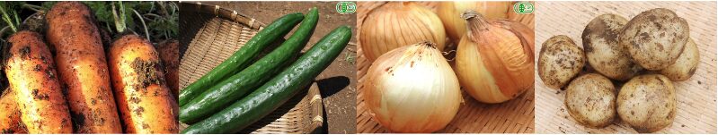 無農薬野菜ミレー
泥付き有機野菜4種