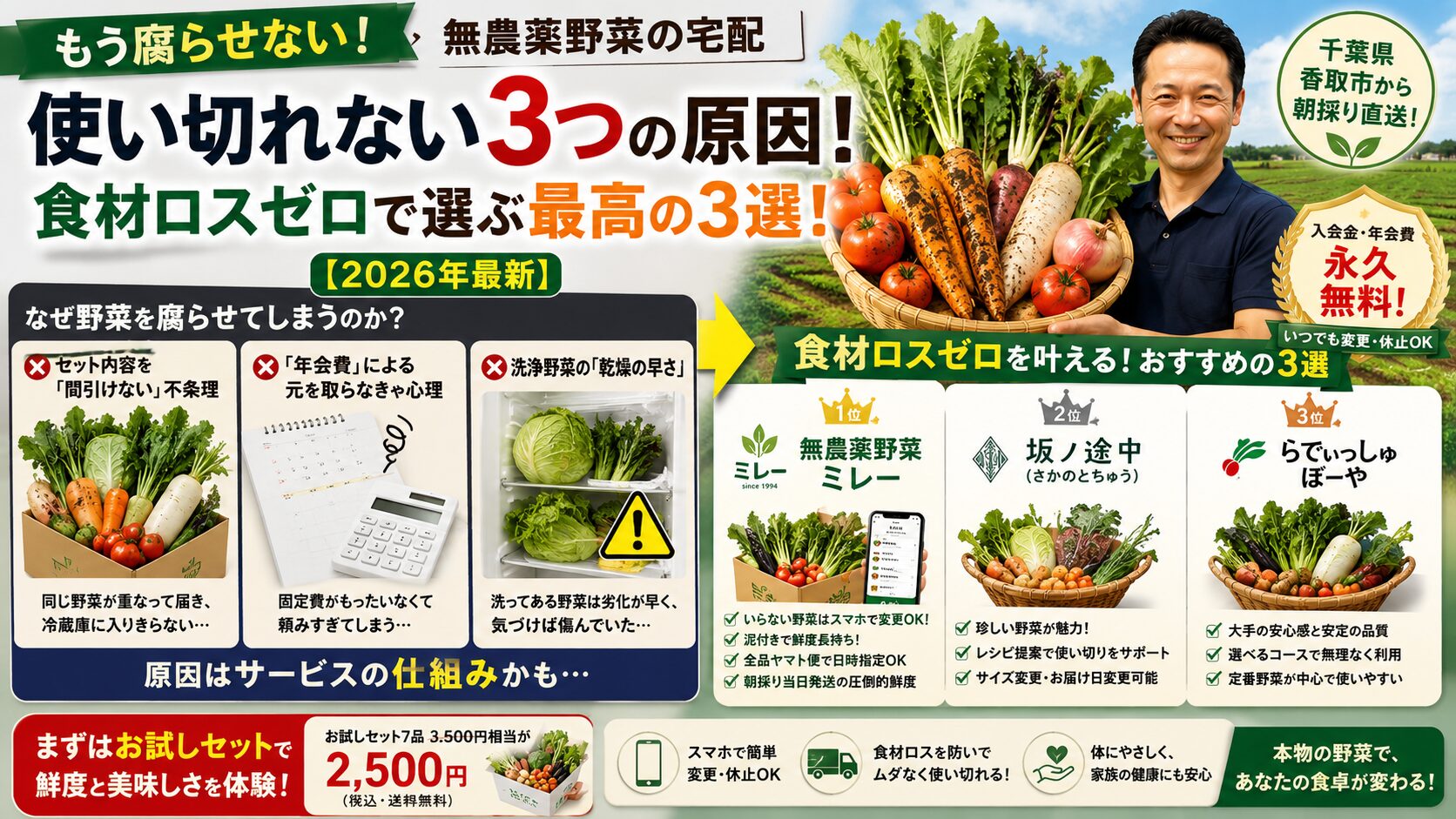 【もう腐らせない】無農薬野菜の宅配が使い切れない3つの原因！食材ロスゼロで選ぶ最高の3選【2026年最新】