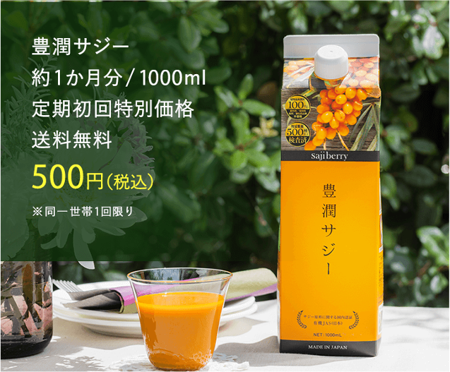豊潤サジー単品画像