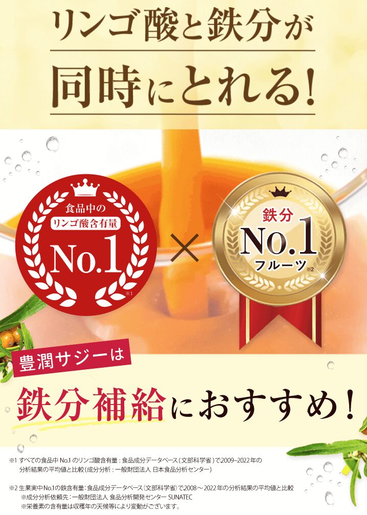 豊潤サジー 鉄分リンゴ酸NO.1