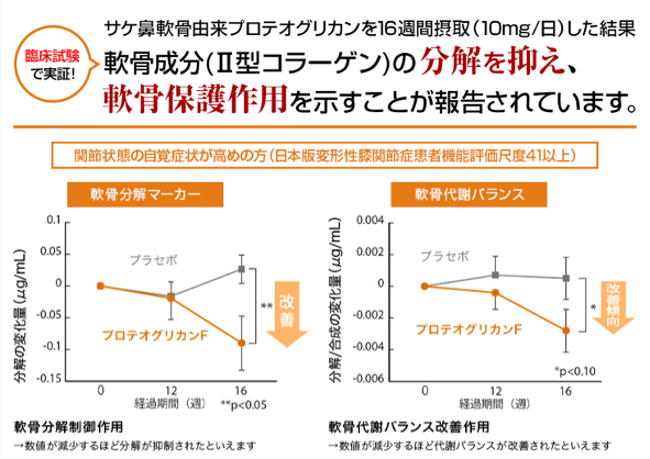飲むひざ関節サプリ　リフリーラ 軟骨効果データ