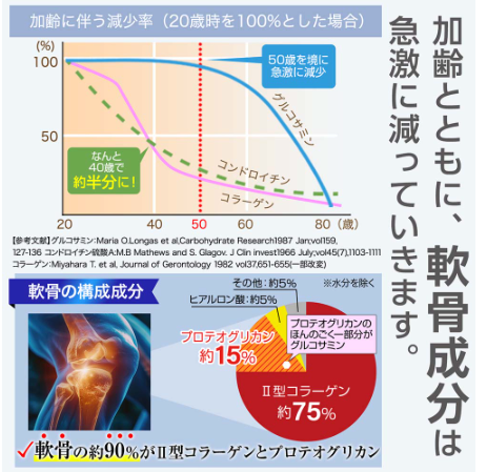 飲むひざ関節サプリ リフリーラ 加齢とともに軟骨成分は減少 軟骨構成成分